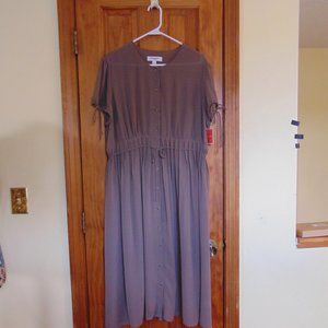 NWT Isaac Mizrahi Chiffon Dress Beautiful Details Lined and Pleated Taupe SZ XXL